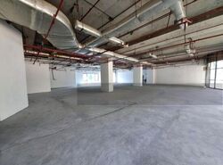 Oasis Garden (D19), Factory #453135431